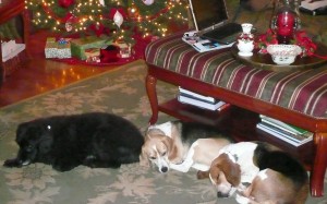 "Christmas 2007"