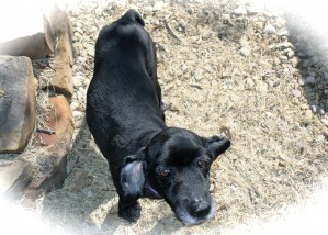 "Betty 1992 - 2008"