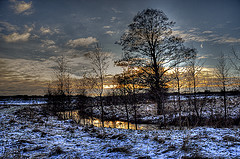 DSC_1978_Winter in Denmark DSC_1978_Winter in Denmark